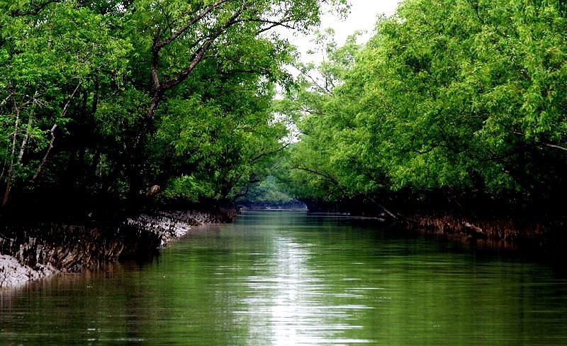 Sundarban Tour